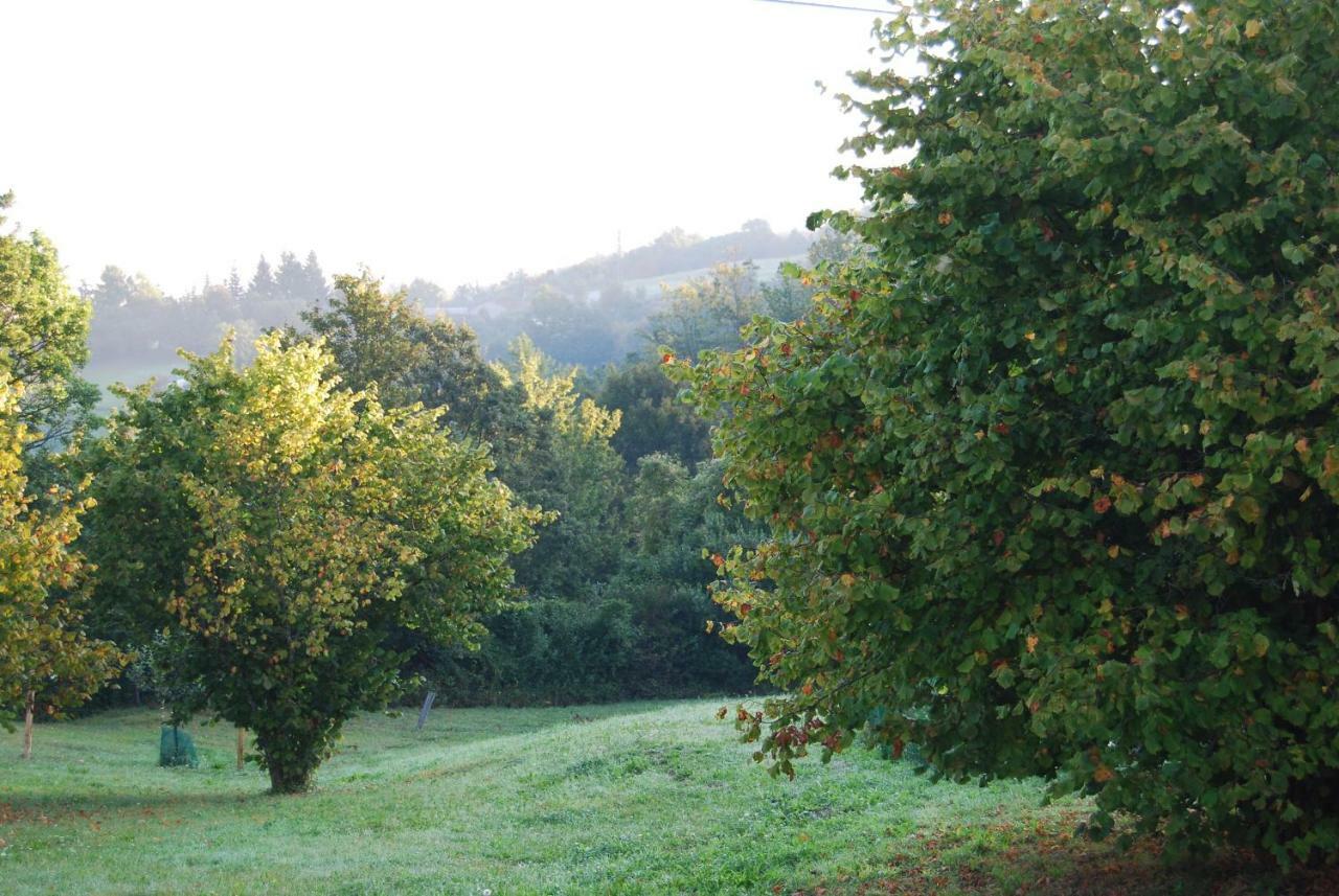 Il Paradiso Monolocale Cottage Albareto  Kültér fotó